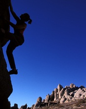 Women on the side of a mountain climbing. 